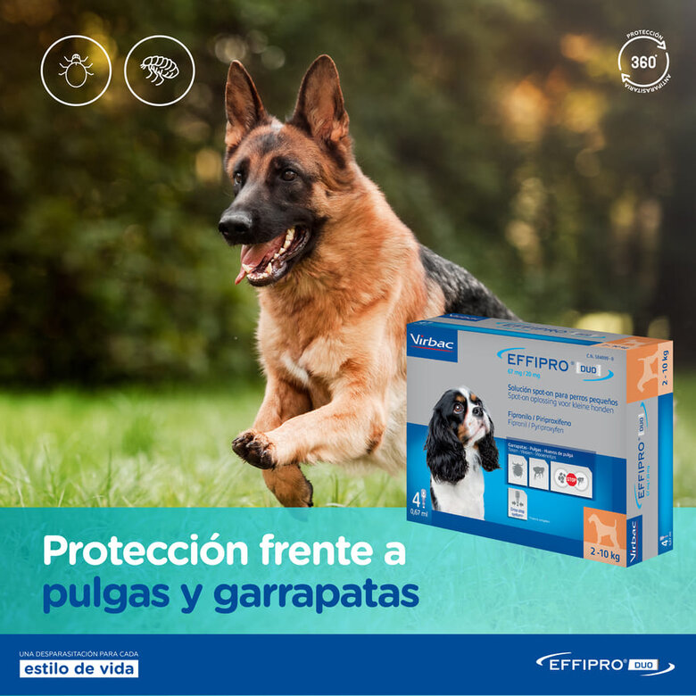 Effipro Duo pipetas antiparásitos para perros, , large image number null